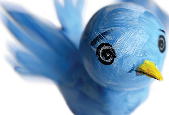 twitter-bird