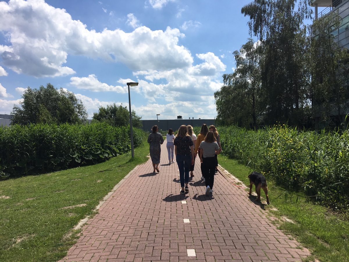 wandeling